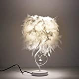 ALLOMN LED Nachttischlampe, moderne minimalistische Lampe Vintage elegante Nachttischlampe Feder Tischlampe, Schaltersteuerung, Herzform Kristallanhänger, mit E27 Birne (kaltweiß), EU Stecker