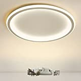 Anten Deckenleuchte LED, Φ41.5 CM Runde Deckenlampe, Moderne Deckenleuchten Dimmbar 4 Farben, 28W Wohnzimmer lampe mit Fernbedienung, lampen Weiß für ...
