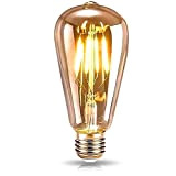 DASIAUTOEM Edison Vintage Glühbirne, E27 Retro Glühbirne LED 4W Vintage Beleuchtung ST64 Vintage Glühbirne LED Antike Nostalgie Dekorative Glühbirne Ideal ...