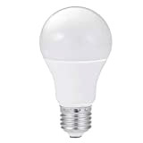 E27 LED Lampe 18W kaltweiß mit mattem Frontglas - A60 Birne Leuchtmittel Glühbirne Licht Fadenlampe