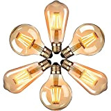 Edison Vintage LED Glühbirne, Massway E27 Antike LED Filament Lampe 4W Dekorative Glühbirne (2700K, 340LM, Modell G80&ST64) Ideal für Nostalgie ...