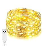 EvaStary LED-Lichter, 100 33ft USB-LEDs, wasserdichte Silberdraht-Lichter, Schlafzimmer-dekorative Beleuchtung für Weihnachten, Gartenparty, Hochzeit im Freien (Warmweiß)