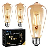 Glühbirne E27 Vintage, Edison LED Lampe E27 Warmweiß 6W Ersazt 60W, 2700K Antike E27 LED Vintage Glühbirne, Ideal für Nostalgie ...