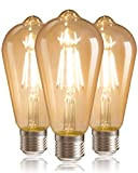 QNINE E27 LED Vintage Glühbirne, E27 LED Warmweisse Retro Birne 2700K, 6W(ersetzt 60W Glühbirne), Edison Vintage Glühbirne E27, 600lm, Nicht ...