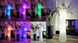 Trango 1229RGB Moderne Design LED Stehlampe I Reispapier Lampe Höhe ca. 1250mm I inkl. 2x E14 LED Leuchtmittel warmweiss & ...