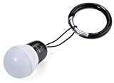TROIKA Bag Light ? Taschenlampe (Taschenlampe Schlüsselanhänger, Schwarz, Weiß, Acrylnitril-Butadien-Styrol (ABS), Aluminium, 1 Lampe (S), LED, weiß)