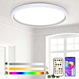 Wholede LED Deckenleuchte Flach mit Fernbedienung, 24W Ø30CM Deckenlampe Panel Dimmbar Farbwechsel, RGB Lampe für Schlafzimmer Kinderzimmer Wohnzimmer Badezimmer, Kompatibel ...
